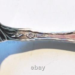 Alvin RAPHAEL. Sterling Silver Master Butter Spreader 7 1/8 Art Nouveau