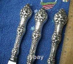 Alvin Sterling OLD ORANGE BLOSSOM (1905) 3 Pc ROAST CARVING SET-Mono S