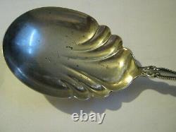 Alvin Sterling Silver 1900 RALEIGH Large 9 1/2 Berry Casserole Spoon, No Mono