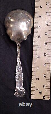 Bridal Rose (1903) by Alvin Sterling, Large Salad/Berry Serving Spoon Piece
