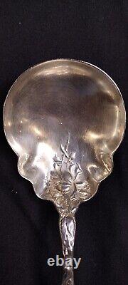 Bridal Rose (1903) by Alvin Sterling, Large Salad/Berry Serving Spoon Piece