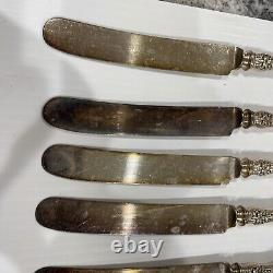 Lot Of 12 Old Orange Blossom by Alvin Sterling Silver Knives Hard To Find Set