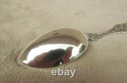 Old Orange Blossom by Alvin 8 1/2 Sterling serving spoon(s) 1 of 3 no mono Nice