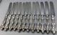 Old Orange Blossom By Alvin Sterling Set Of 12 Dinner Knives 9 7/8, Mono A