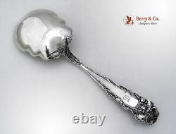 Raphael Alvin Berry Spoon Sterling Silver 1902