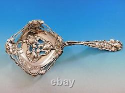 Raphael by Alvin Sterling Silver BonBonniere Spoon 10 Rare Large Bowl with Irises