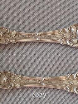 Rare Alvin Sterling Orange Blossom 1905 Grapefruit Spoons