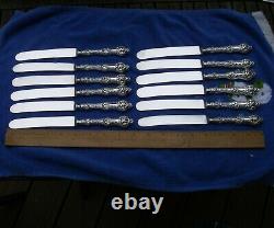 SET 12 Alvin OLD ORANGE BLOSSOM (1905) LUNCHEON KNIVES-Plated Blades-Mono S