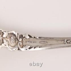 Superb Alvin American Sterling Silver Serving Spoon Nuremburg 1903 No Monogram