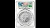Will I Buy The 230th Anniversary Flowing Hair Silver Medal From The Us Mint Or One Graded From Ebay