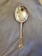 Cuillère à Servir à Salade En Argent Sterling Solide Alvin Morning Glory 8 3/4 Po 1909