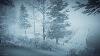 Tempête Hivernale Intense Au Lac Hurlement Vent U0026 Blowing Snow Sounds Pour L'étude Du Sommeil U0026 Relaxation